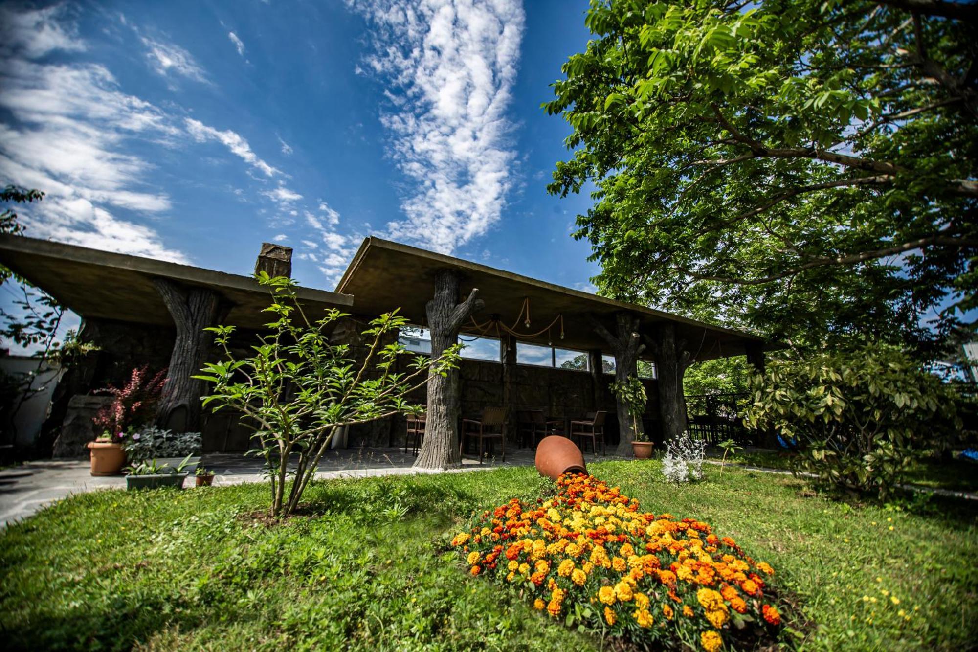 Chveni Ezo Boutique Hotel 科布列季 外观 照片