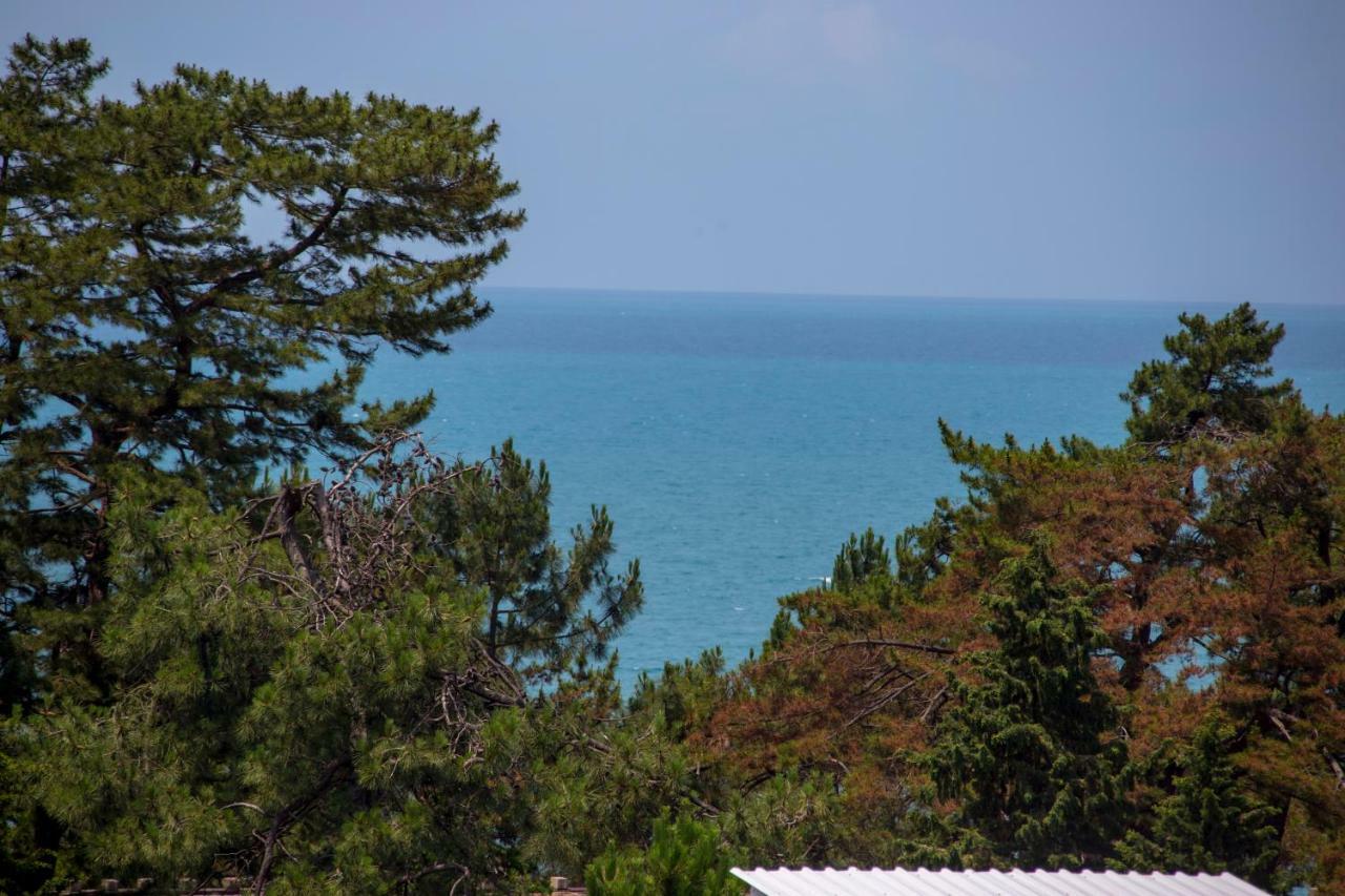 Chveni Ezo Boutique Hotel 科布列季 外观 照片